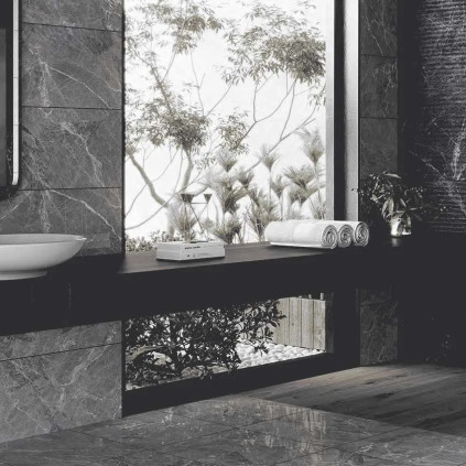 Adela Anthracite